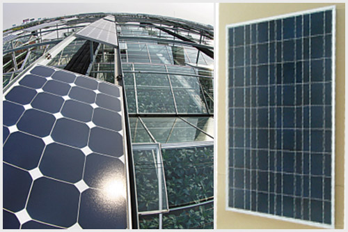 光伏溫室單晶硅太陽能電池組件