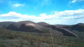 草原監(jiān)控