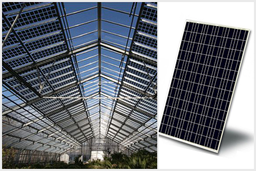 光伏溫室太陽能電池板